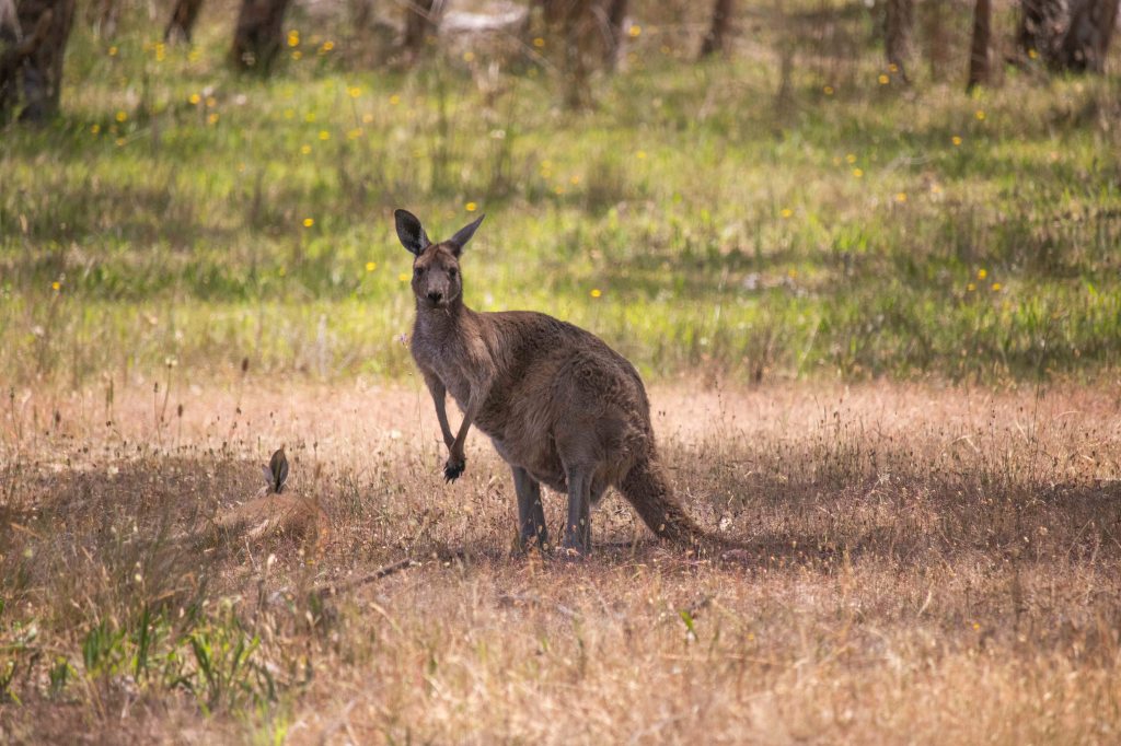 Hidden In Plain&nbsp;Sight