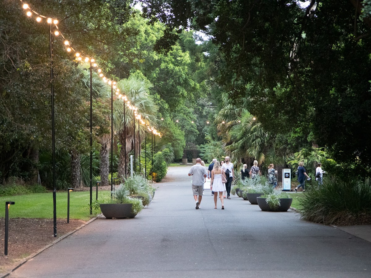 The Mono Awards are&nbsp;Back