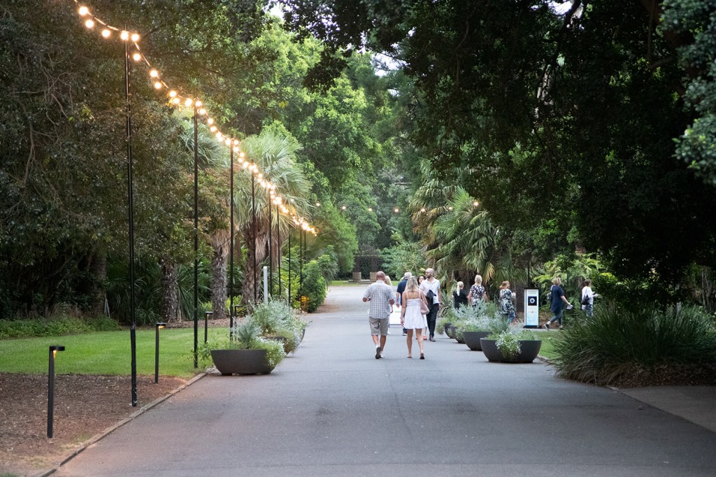 The Mono Awards are&nbsp;Back