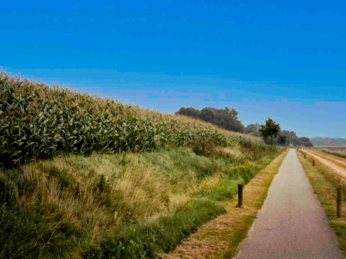 My Photography Story – Part&nbsp;1