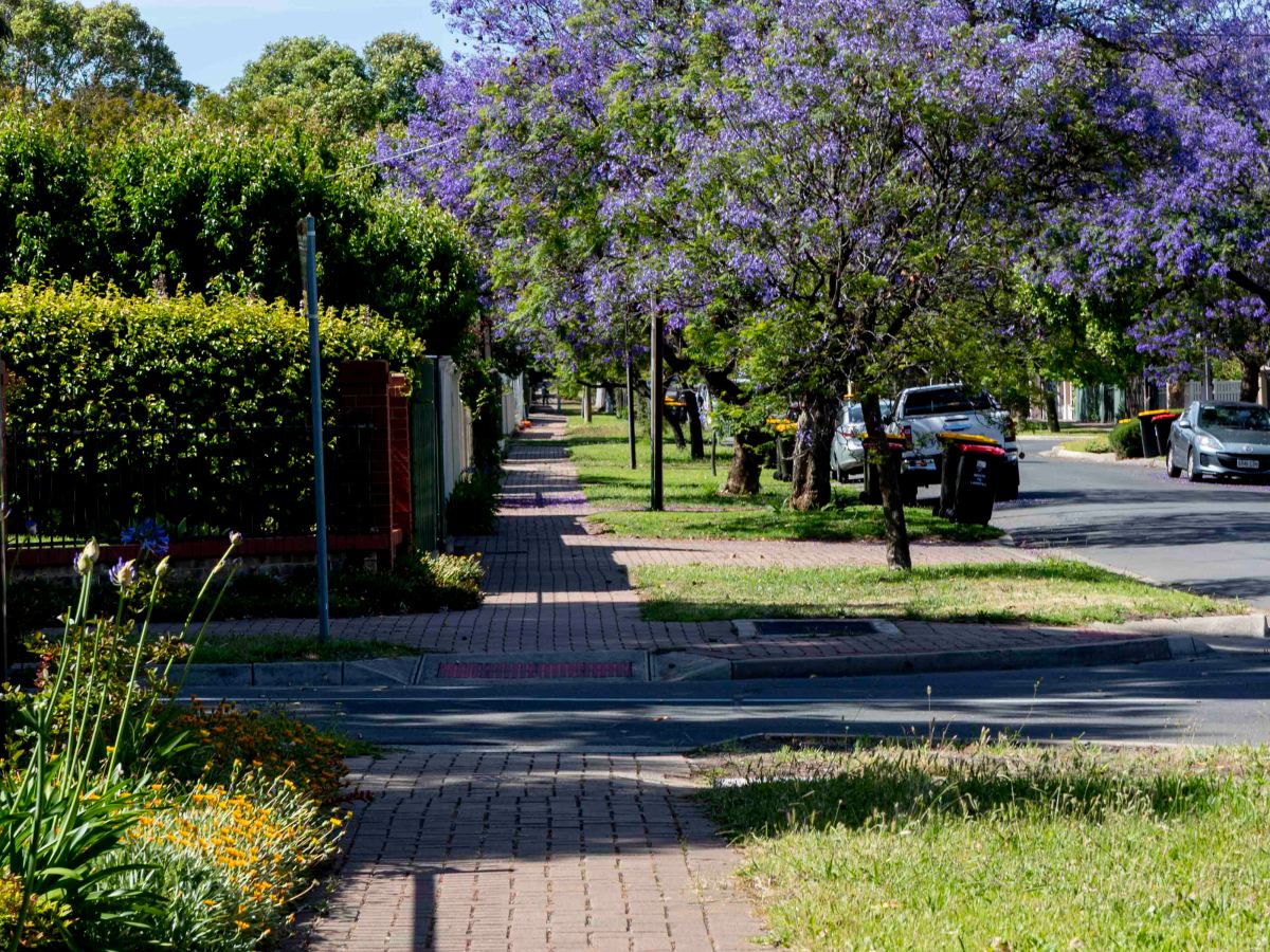 Why I Love&nbsp;November