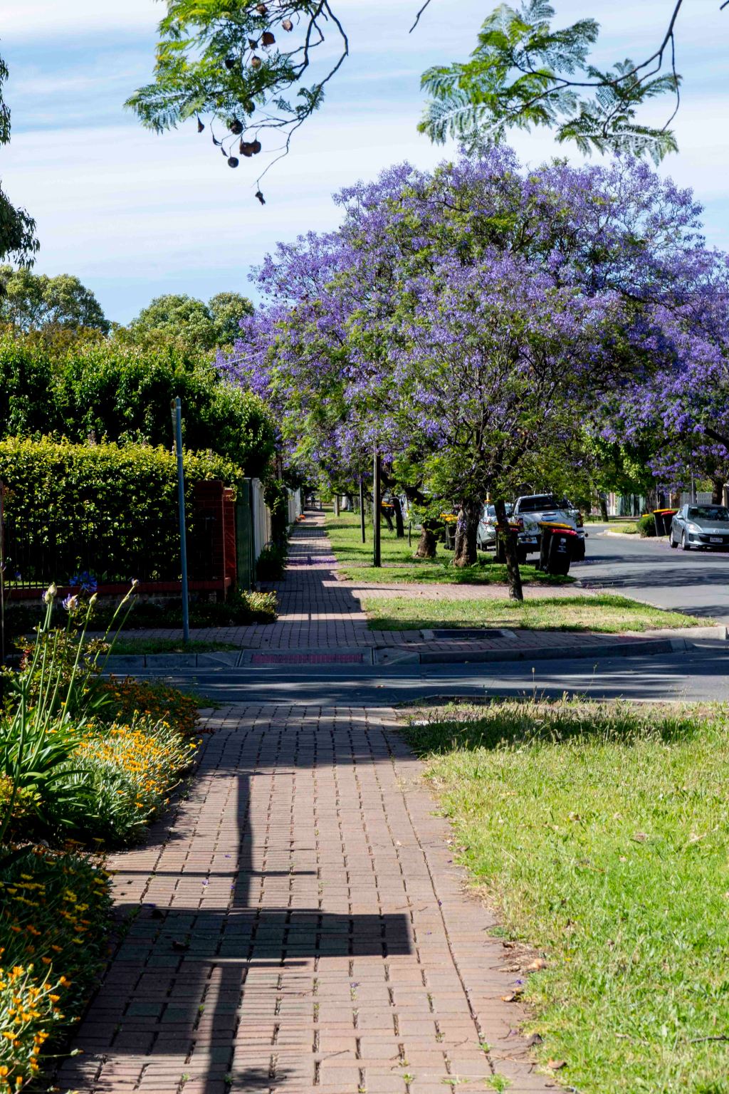 Why I Love&nbsp;November