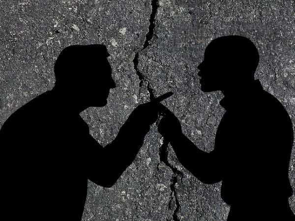 200 Year Old Tree Divides a&nbsp;Street