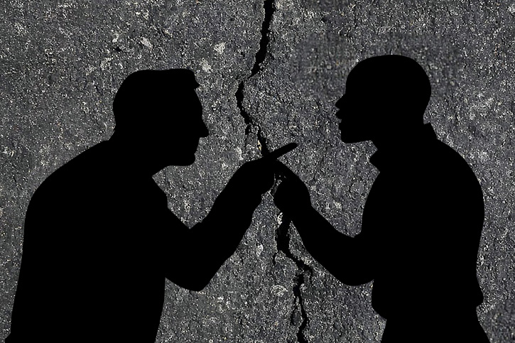 200 Year Old Tree Divides a&nbsp;Street